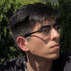 avi.akbar image 2