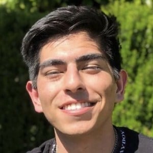 avi.akbar image 3