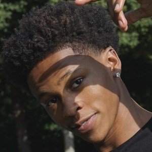 B. Artis White image 3