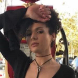 Babeo Baggins image 4