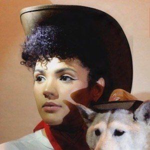 Babeo Baggins image 5