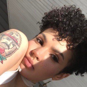 Babeo Baggins image 6