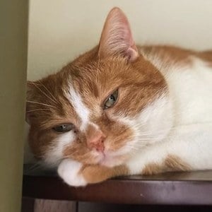 Bean beautynthebean image 7