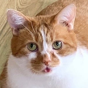 Bean beautynthebean image 8