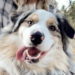 benji hensler image 3