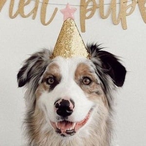 benji hensler image 6