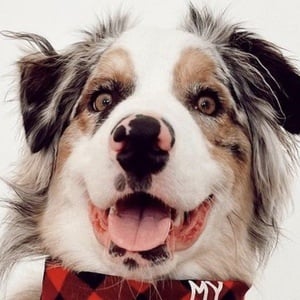 benji hensler image 8