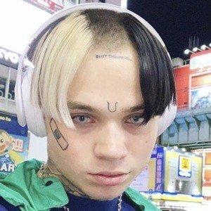 Bexey Swan image 5