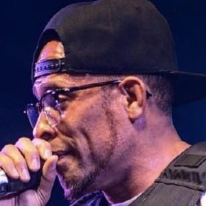 Black Pegasus image 5