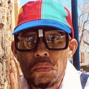 Black Pegasus image 7