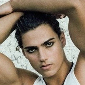 Blake Siniscalchi image 6