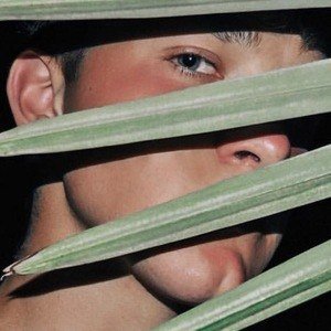 Braden Foster, 24 (TikTok明星)