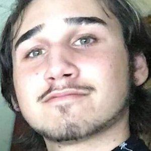 Brandon Asanakis, 26 (Estrella de Vine)