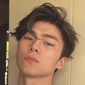 Brandon Chai, 28 (TikTok明星)