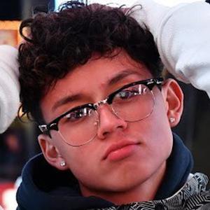 Brandon Westenberg, 22 (Ngôi sao Instagram)