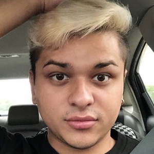 brandyrosetv image 3