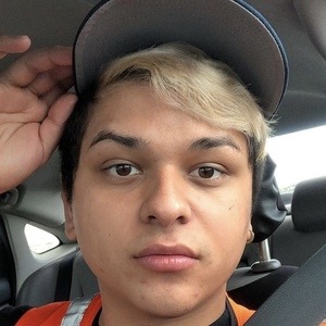 brandyrosetv image 5