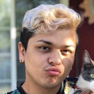 brandyrosetv image 6