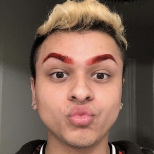 brandyrosetv image 7