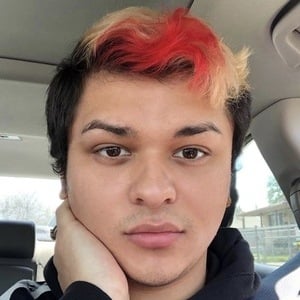 brandyrosetv image 8