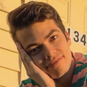 Brenley Carmine image 3