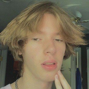 Brett Law, 22 (TikTok Star)