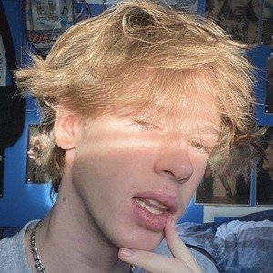 Brett Law, 22 (TikTok明星)