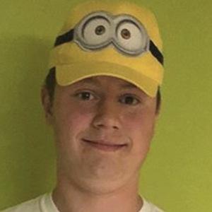 Bricknermon image 2
