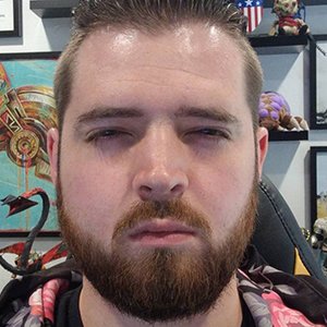 BrickyOrchid8 image 4