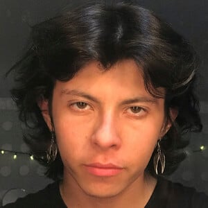 Brock Painn, 24 (TikTok明星)