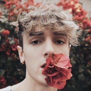 Bryce Hall, 26 (TikTok Star)