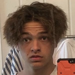 Cade Tarchick, 24 (TikTok明星)