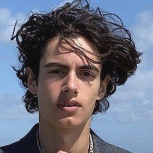 Callum Mullin image 3
