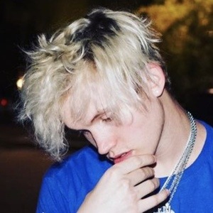 Camcardii, 28 (TikTok Star)