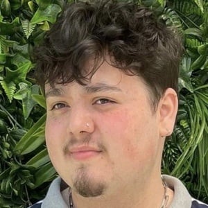 Cameron Perez, 26 (Звезда Тиктока)