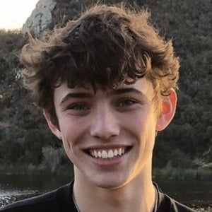 carringtonxx, 24 (TikTok明星)