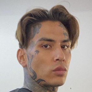 Castillo Bataille, 36 (Stylist)