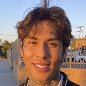 Castillo Bataille, 36 (Stilista)