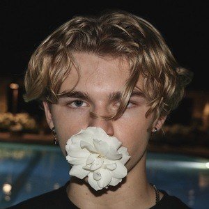 Cayman Rhodes image 2