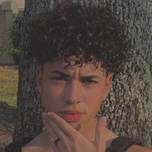 C.cessarr, 22 (TikTok明星)