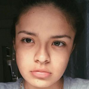 Champagnedani image 5