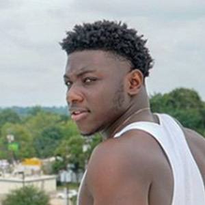 Champagnemike image 3