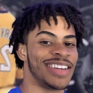 Chance Strive image 8