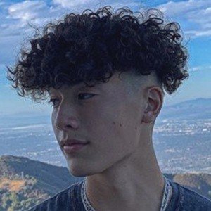 Chase O’Neill image 6