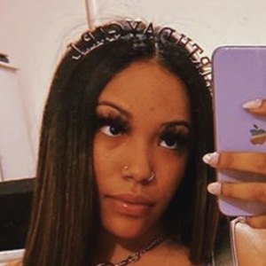 Chesathebrat image 4