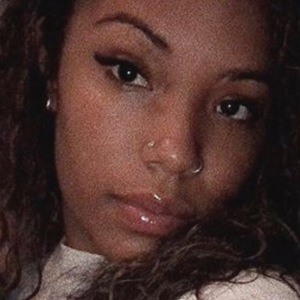 Chesathebrat image 6