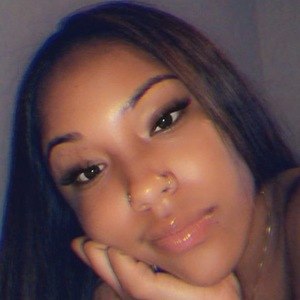 Chesathebrat image 7