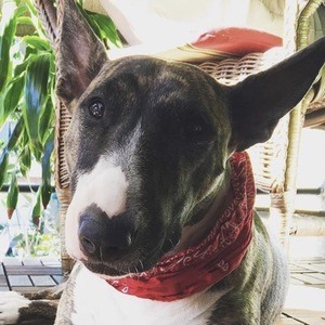 Chika the Bully, 10 (Cane)