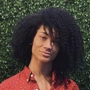 Chris McCully image 6