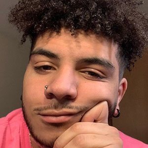 Chris Udalla image 3